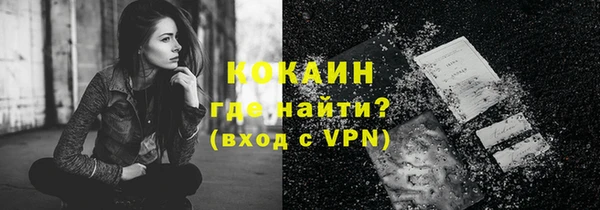 трава Новозыбков