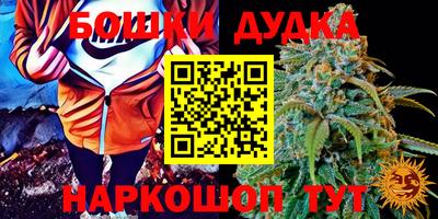 ГАЛЛЮЦИНОГЕННЫЕ ГРИБЫ Дубна