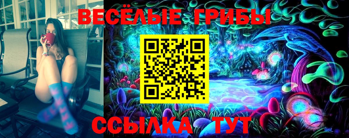 Псилоцибиновые грибы прущие грибы Изобильный
