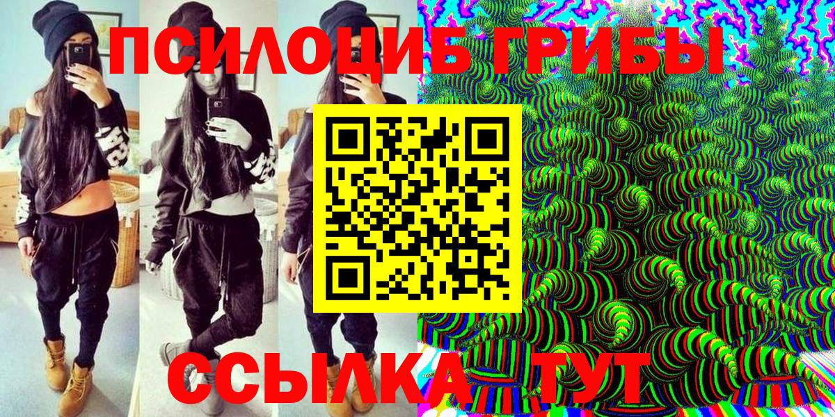 где купить наркотик  Вход с VPN  Изобильный  Галлюциногенные грибы Cubensis 