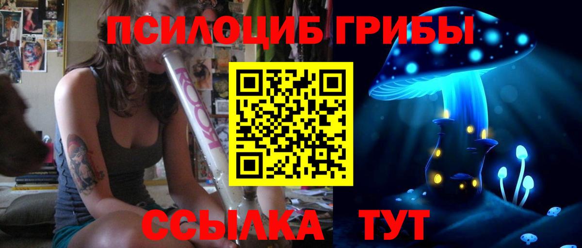 Псилоцибиновые грибы Psilocybine cubensis  Галлюциногенные грибы Psilocybe  цена наркотик  Изобильный 